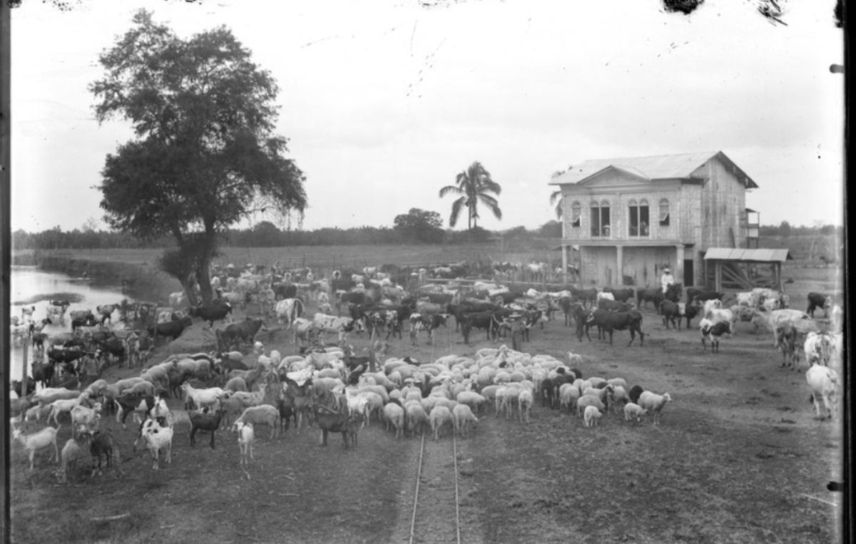 Recuerdos de la costa