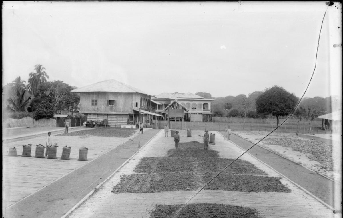Recuerdos de la costa