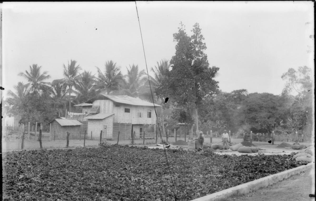 Recuerdos de la costa